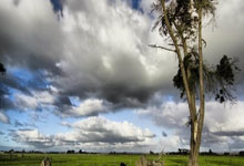 怎么下载天涯社区直播App，轻松追直播、看up主分享日常生活吧！