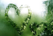 房产观澜在天涯论坛：探讨房产那些事儿