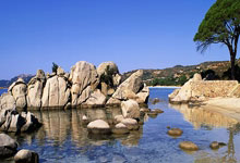 微信论坛和天涯社区一起走过的网络时光